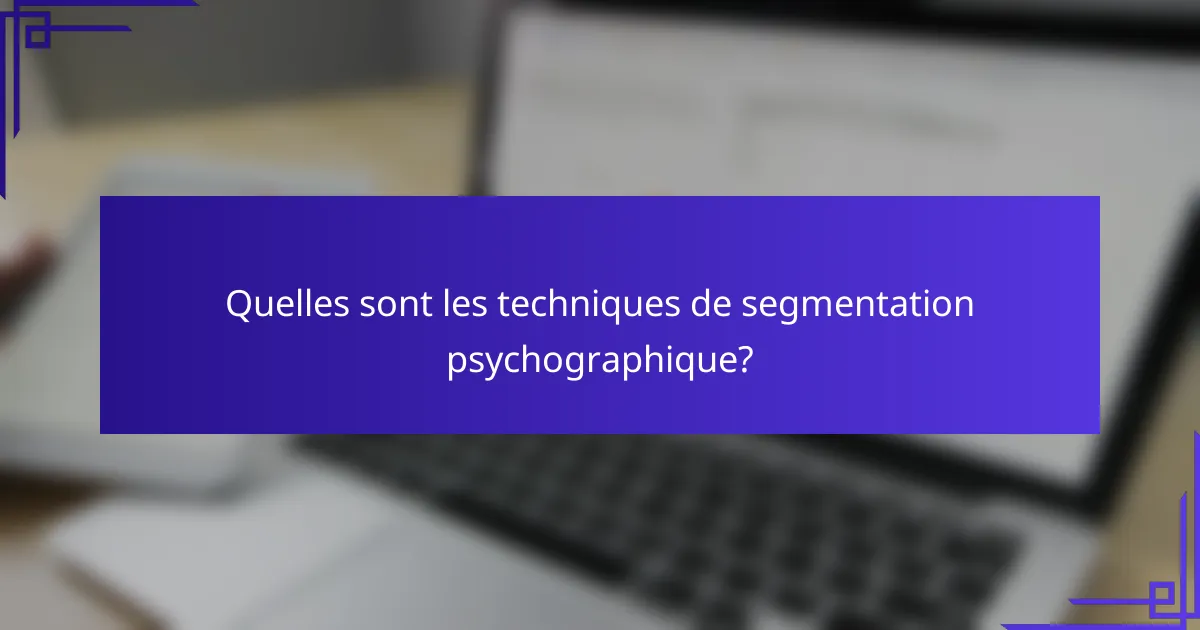 Quelles sont les techniques de segmentation psychographique?